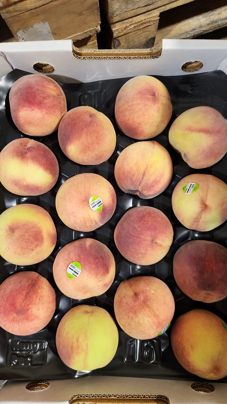Excess Air Flown XL Australia Peach 1 ctn 16 pcs (220g)