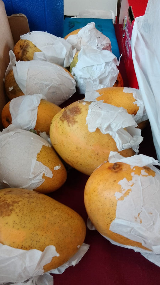 Ugly India Mango x2 ( ripe with black spot but super sweet)