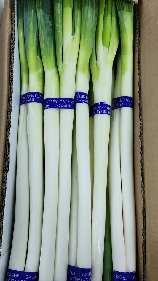 Excess Japanese Leek ~ 300g