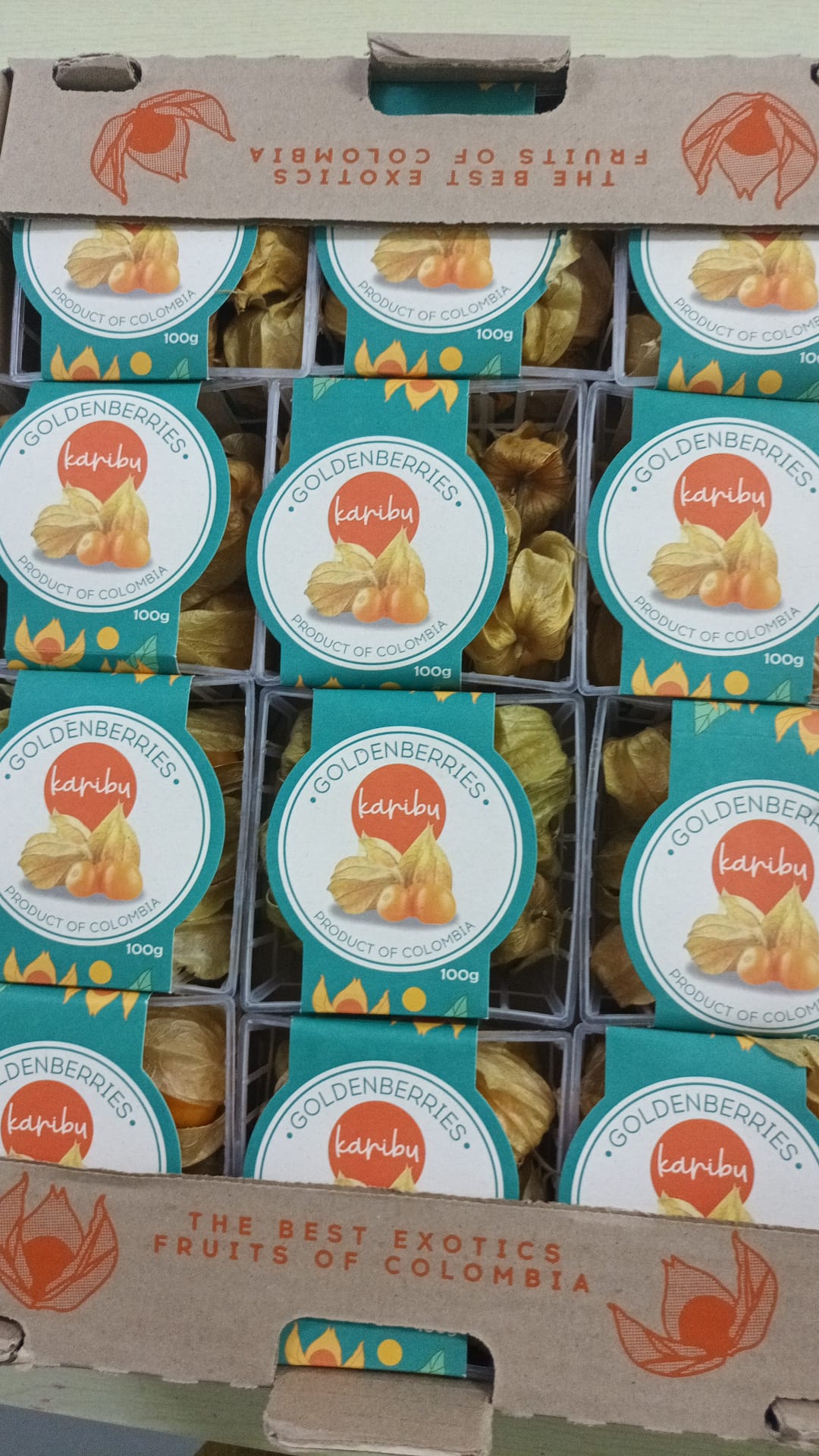 Excess Gooseberry 125g (Holland)