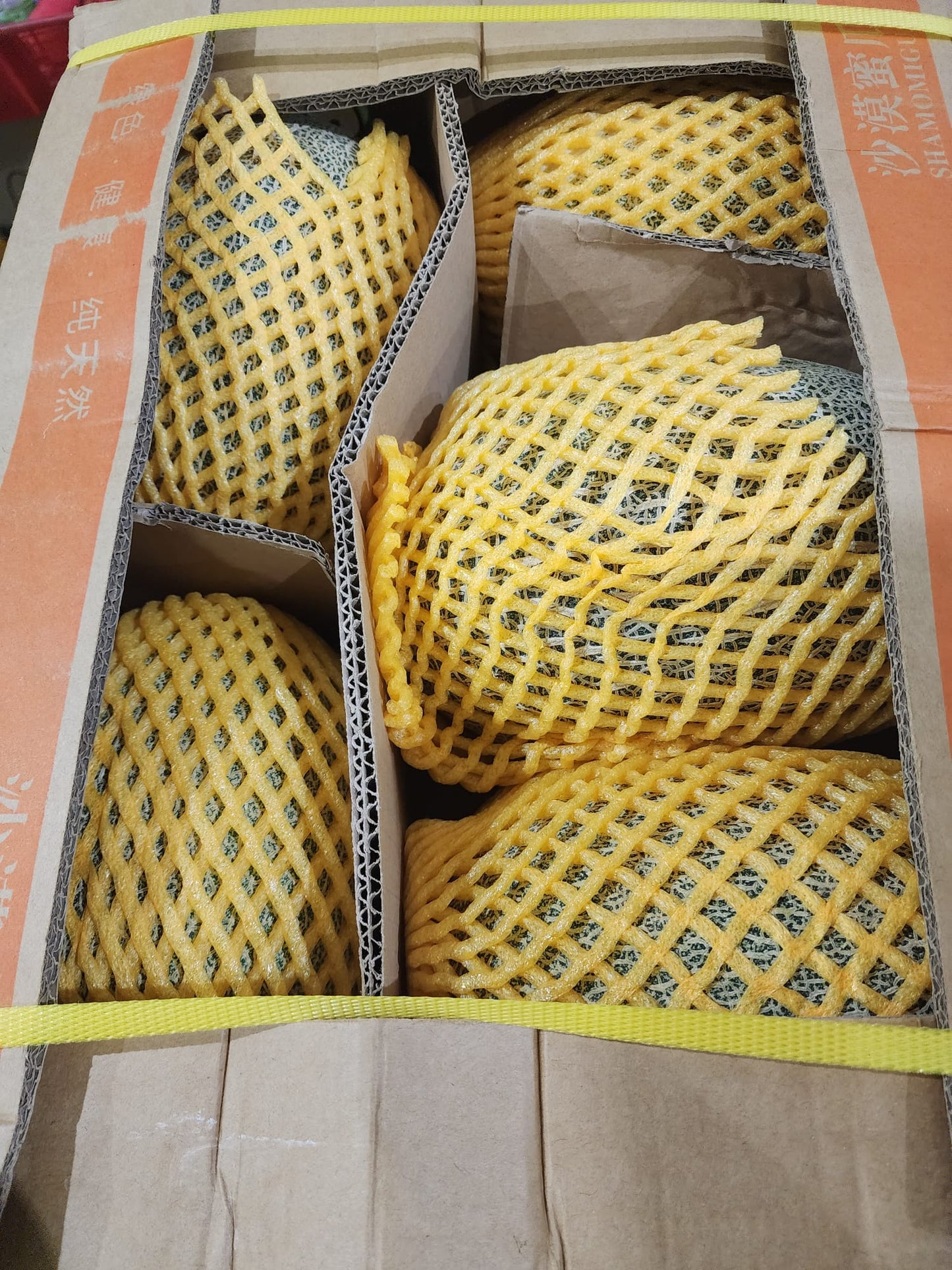 Excess China Hami Melon ~ 1kg