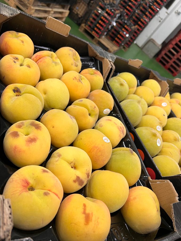 Ugly Spain Golden Peach ~ 220g