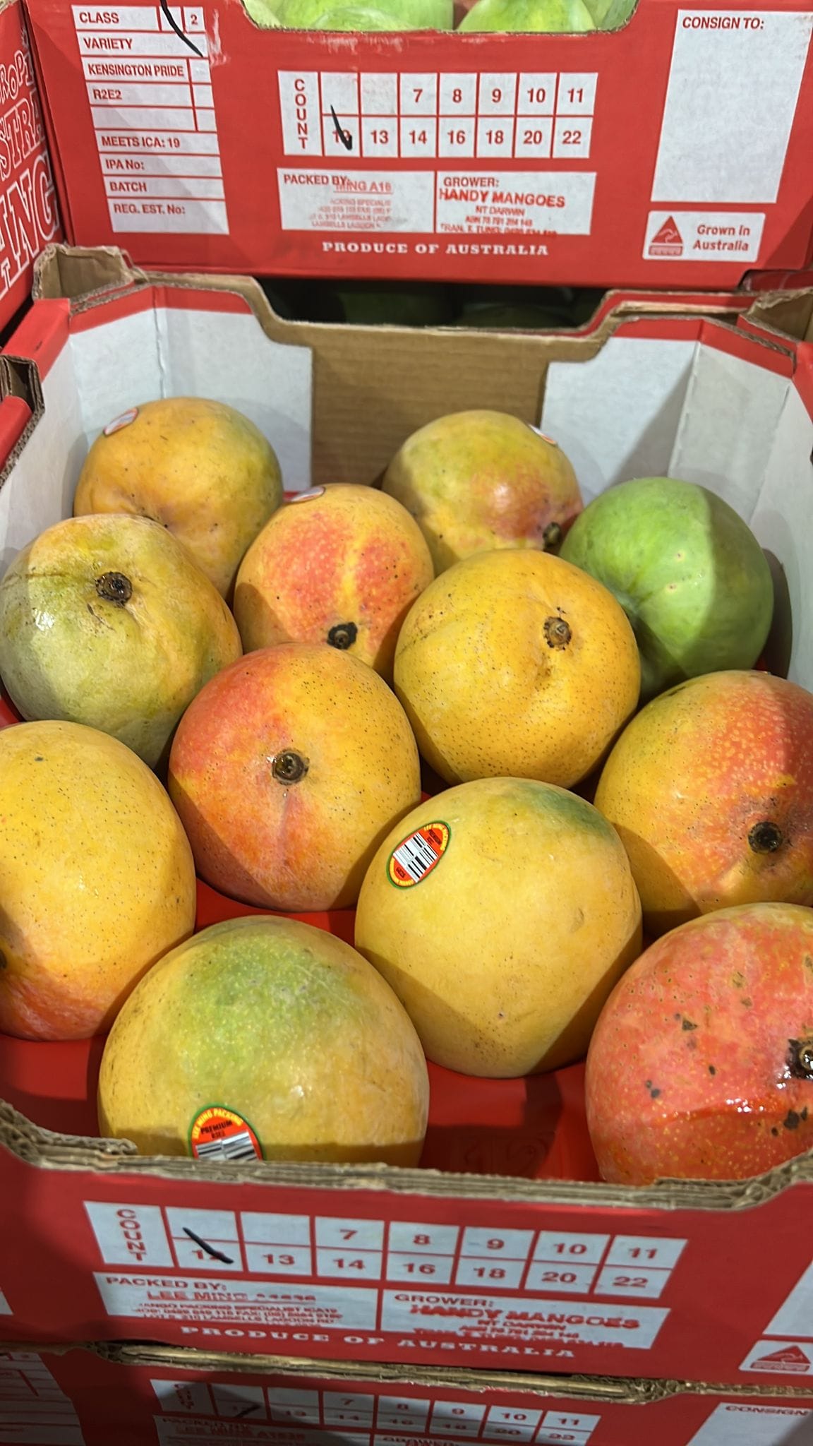 Ugly R2E2 Mango 1 pcs (ripe with a bit scarring) ~ 400g