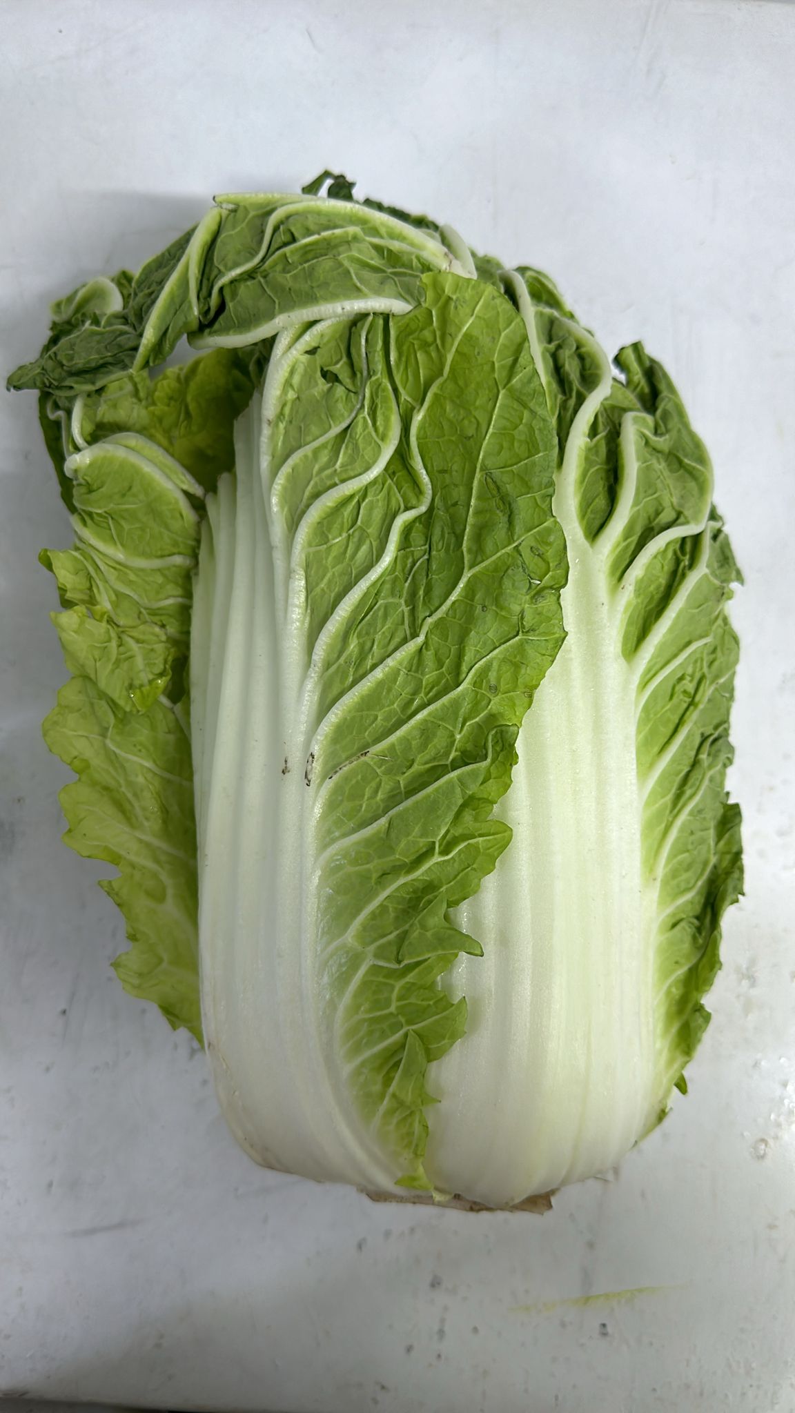 Excess wongbok ~ 1.2kg (China)