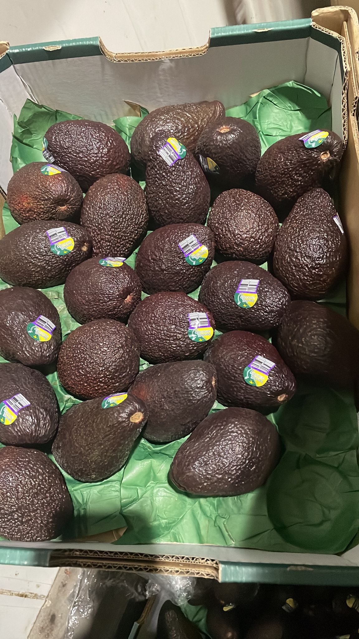 Ugly Australia avocado 3 pcs (overripe)