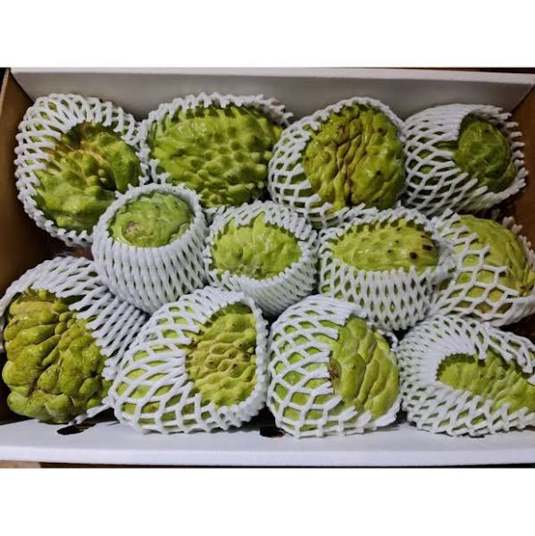 Excess Thailand 5A Custard Apple 1 pcs 400g