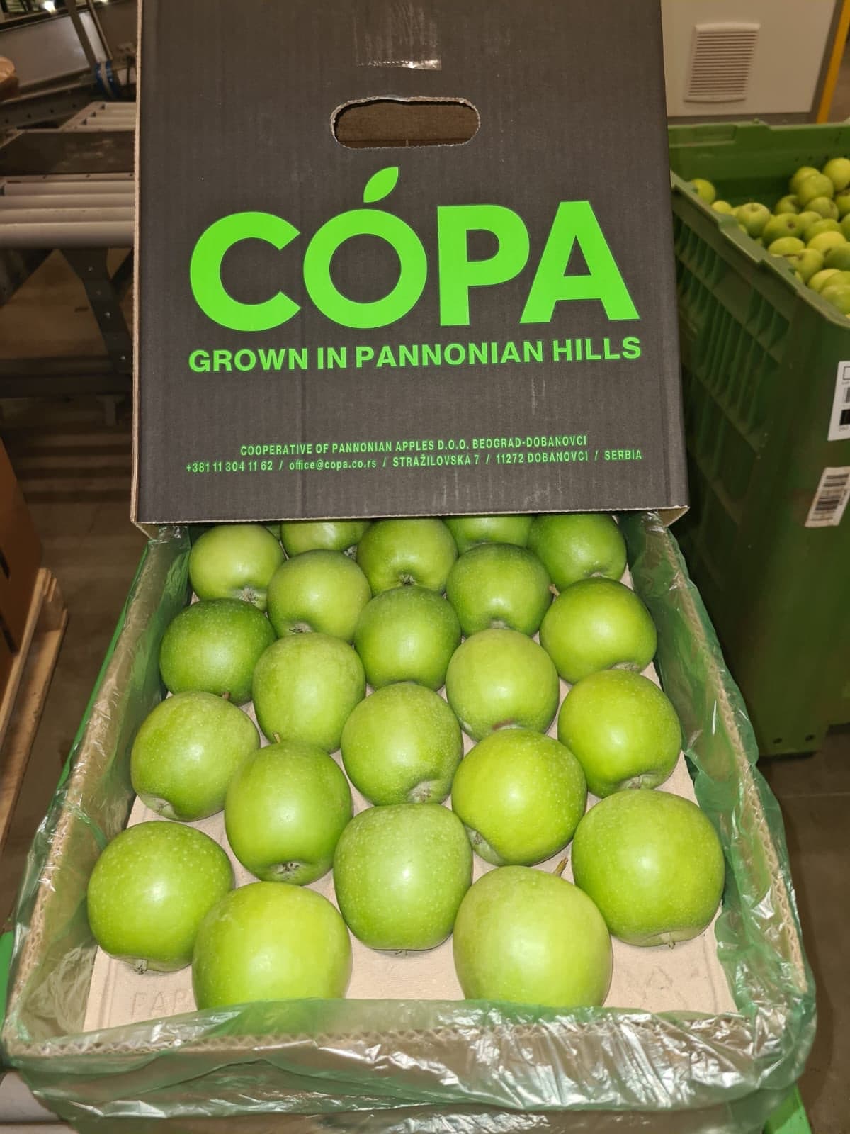 SA green Apple - 4 pcs.