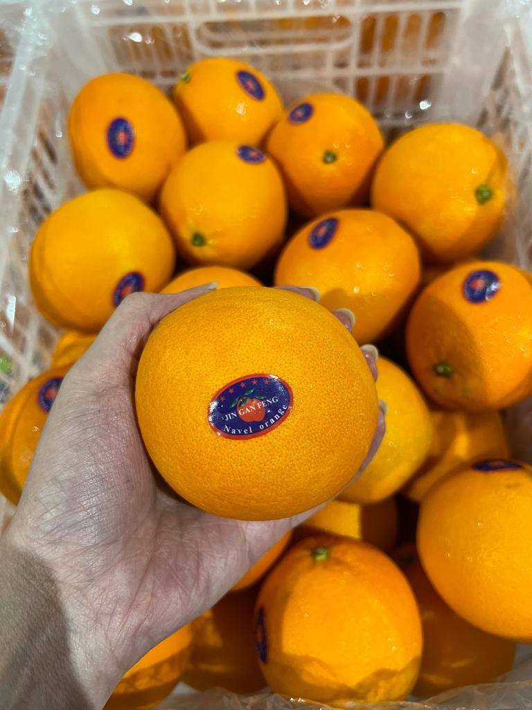 SA Naval Orange - 5 pcs.