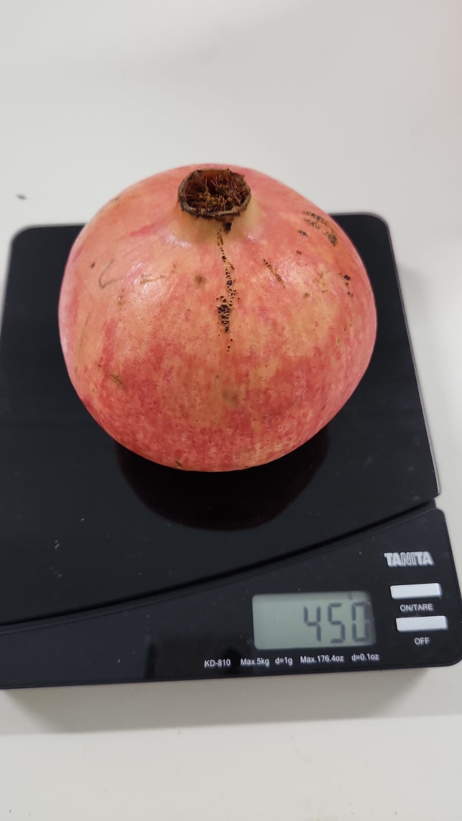 Excess Egypt Pomegranate - 1pcs (~350g)