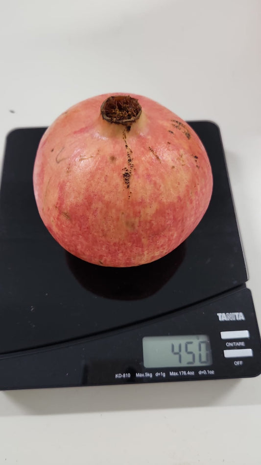 Excess Egypt Pomegranate - 1pcs (~350g)