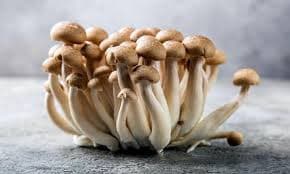 Shimeiji mushroom brown ~ 150g.
