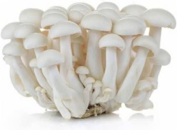 Shimeiji mushroom white ~ 150g.