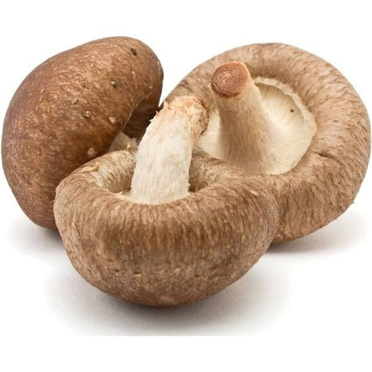Shiitake mushroom ~ 250g (malaysia).