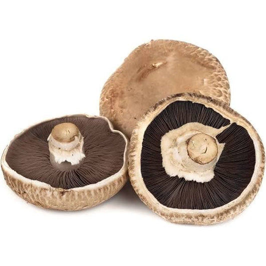 Portobello mushroom ~ 250g (malaysia).