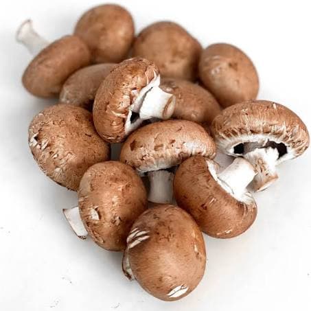 swiss brown mushroom ~ 250g (malaysia).