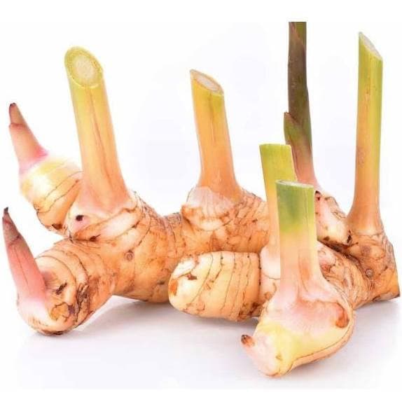 Blue galangal ginger ~500g.