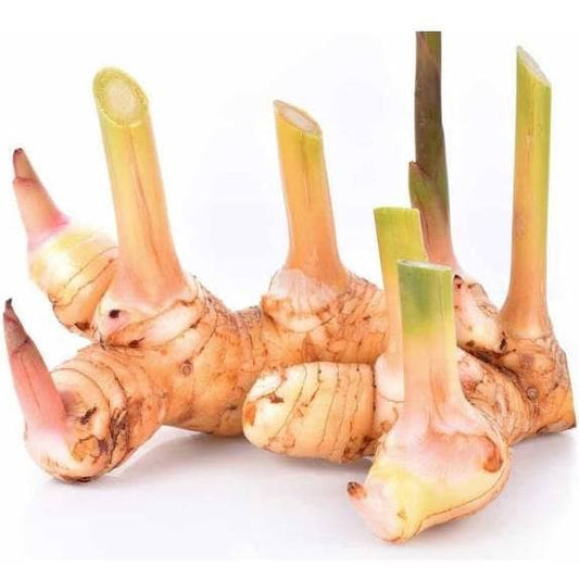Blue galangal ginger ~500g.