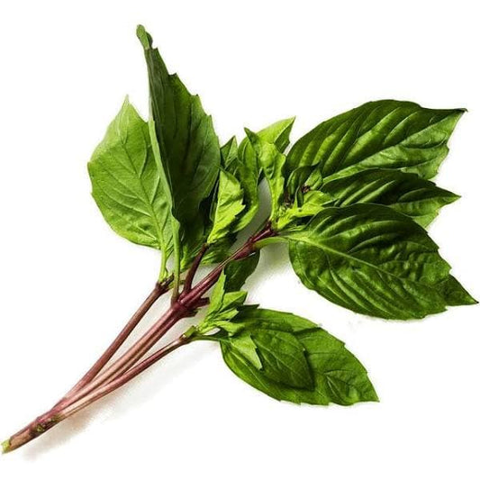 Herb Basil thai sweet~250g.