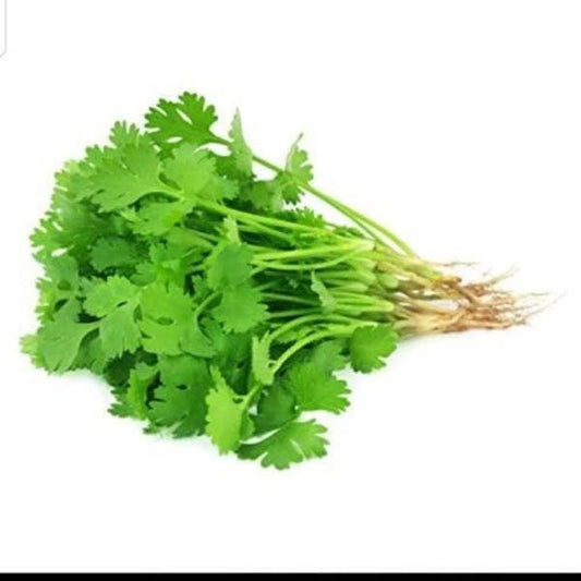 Herb Coriander(Chinese Parsley)~100g.