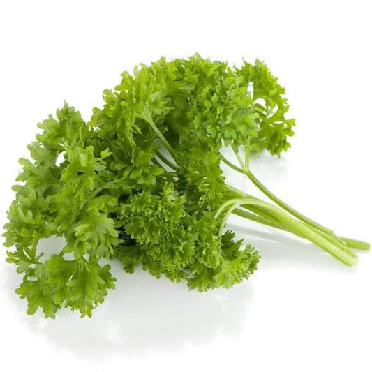 Herb english Parsley~100g.