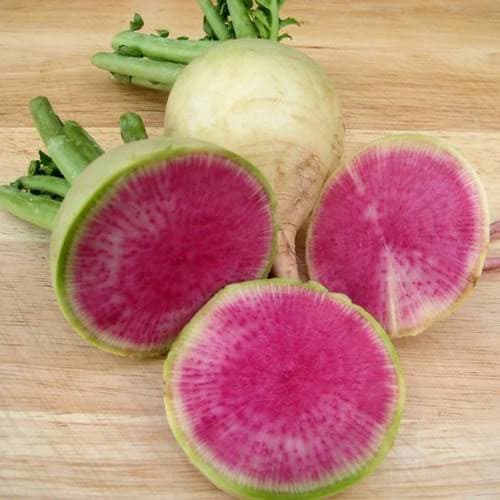 Radish watermelon~ 500g.