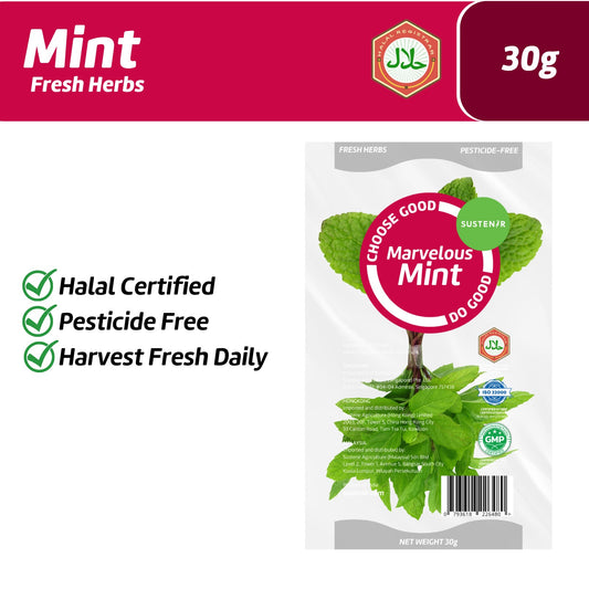 Ugly sustenir mint 30g