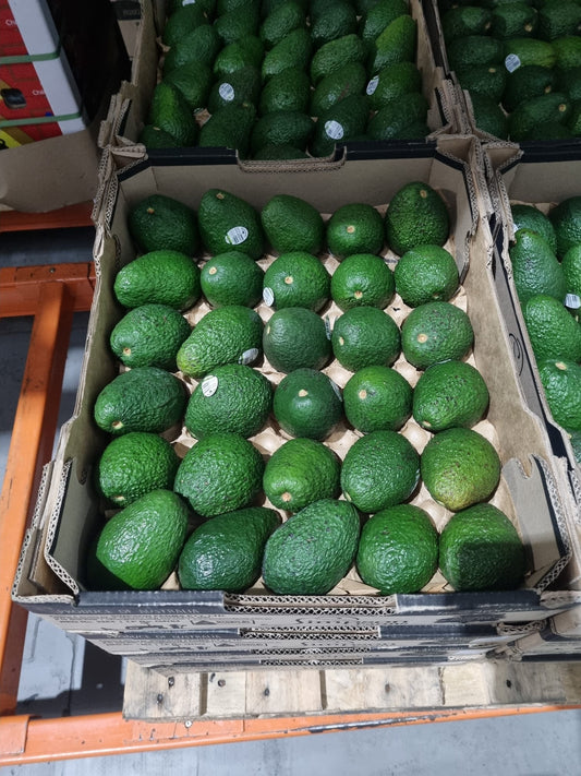 Hass Avocado - 3pcs(Australia)