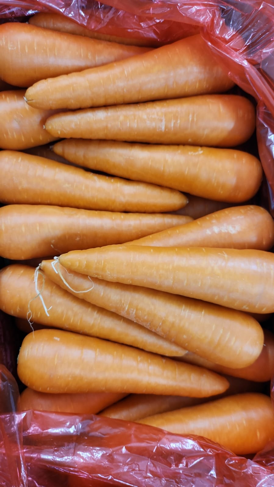 Excess Carrot ~ 500g (Australia)