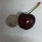 Excess Australia Cherry(28mm - 30mm)- 250g