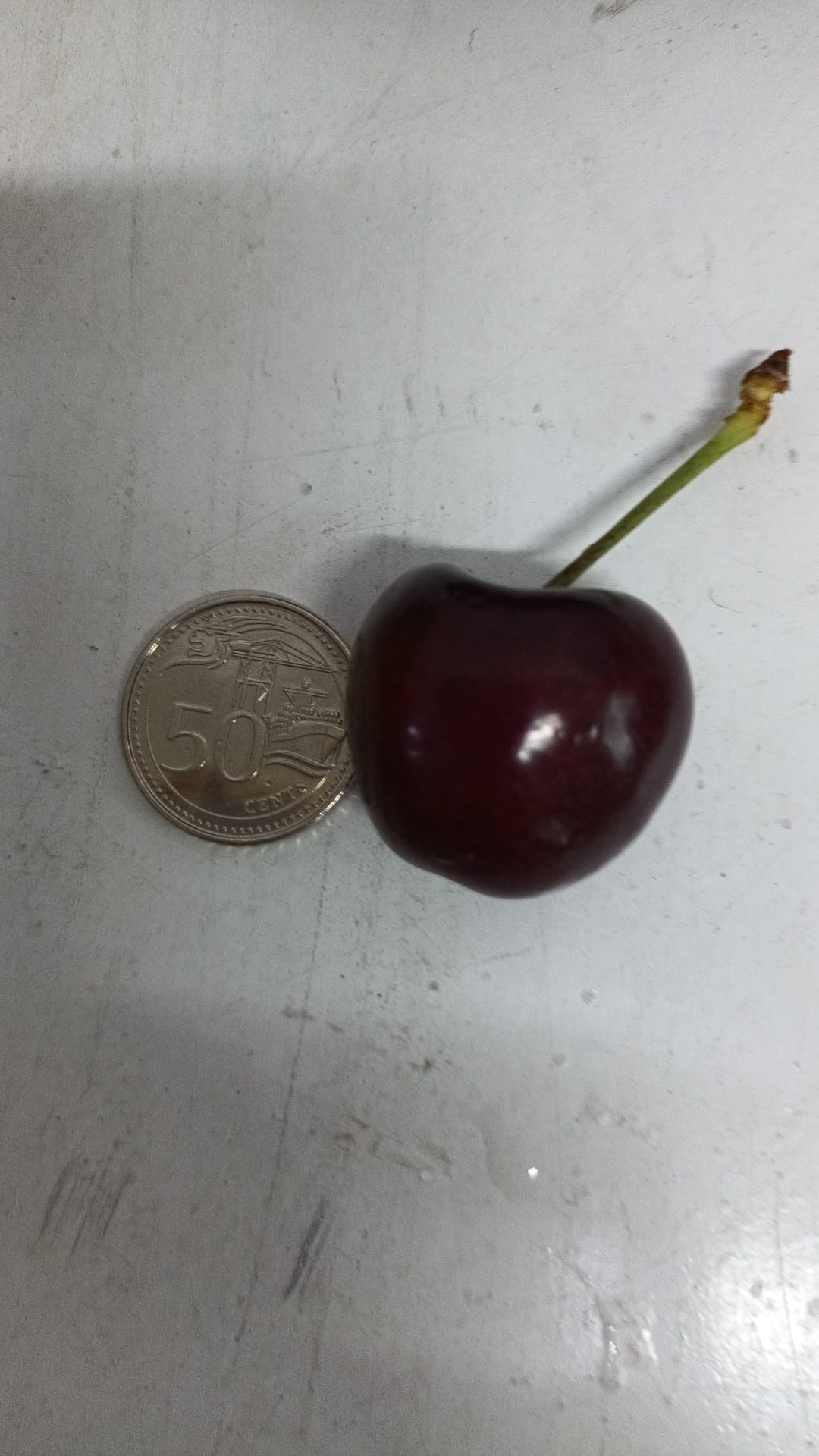 Excess Australia Cherry(28mm - 30mm)- 250g