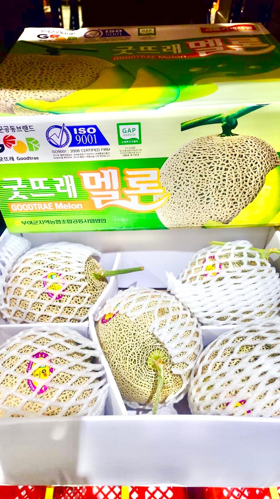 Excess Korean MuskMelon ~1kg