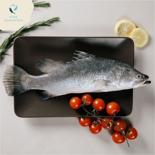 Fresh Seabass 500g-600g ( Clean and gutted)