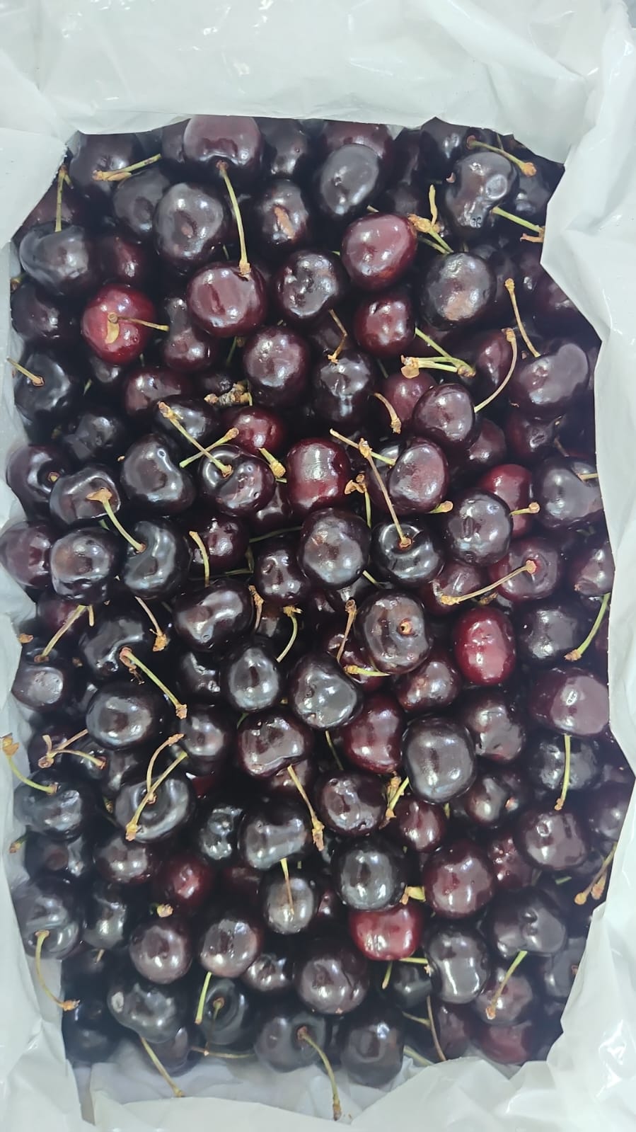 Excess Australia Cherry(28mm - 30mm)- 250g