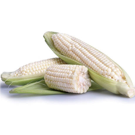 Excess Cameron AA white Corn 1 pcs