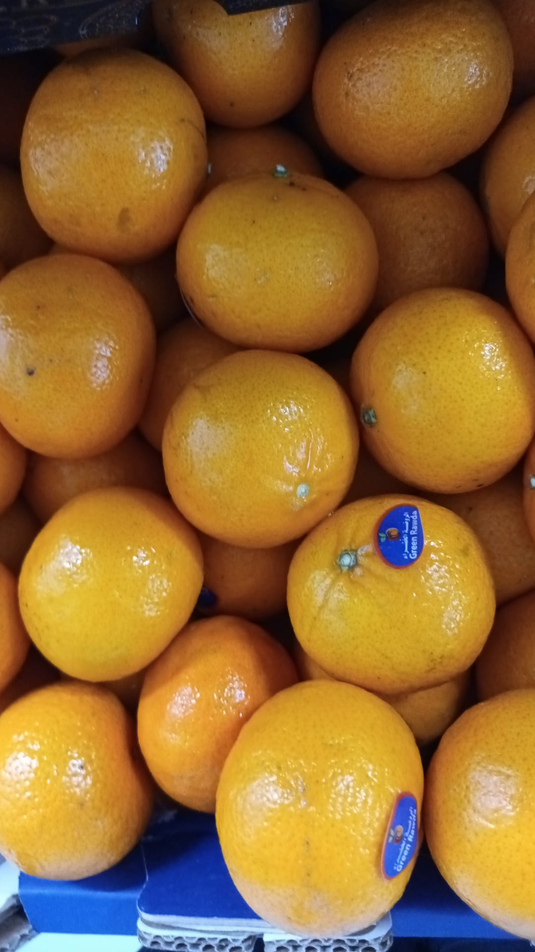 Ugly Mandarins Egypt Oranges 1kg ( scaring)