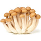 Shimeiji mushroom brown ~ 150g.