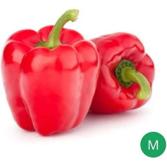 capsicum red - 500g (malaysia).