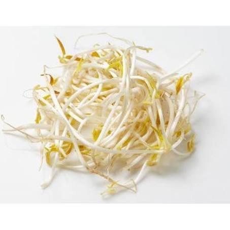 bean sprout ~ 250g(malaysia).