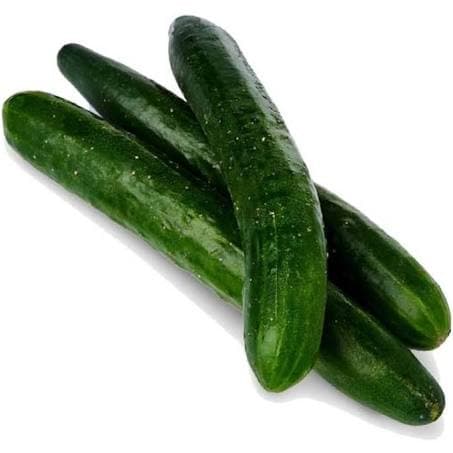 japanese cucumber ~ 500g (Malaysia).