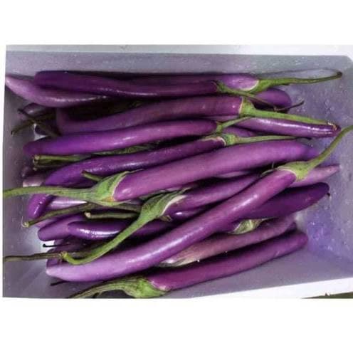 Eggplant Local ~1kg.