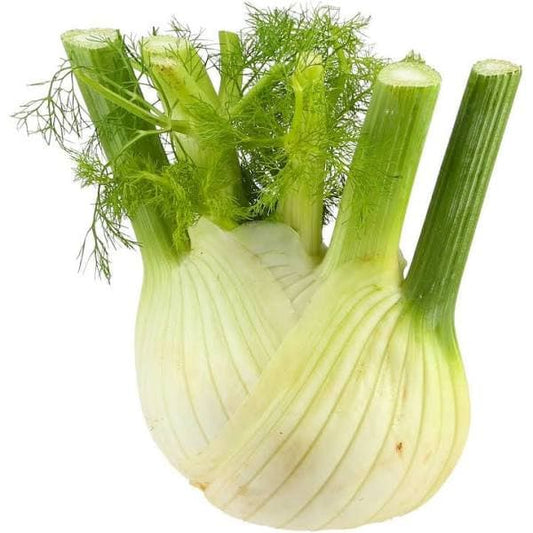fennel ~500g.