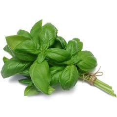 Herb Basil~50g.