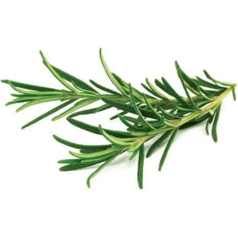 Herb Rosemary~50g.