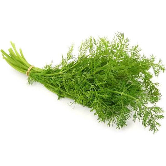 Herb Dill~100g.