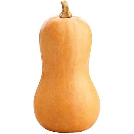 Pumpkin Butternut~ 1kg.