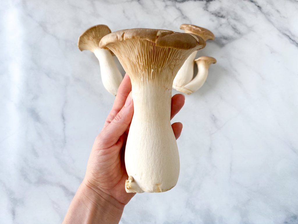 king oyster mushroom ~ 300g (Malaysia).